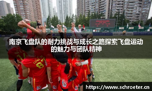 南京飞盘队的耐力挑战与成长之路探索飞盘运动的魅力与团队精神