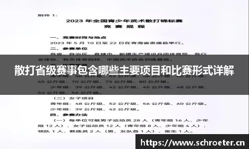 散打省级赛事包含哪些主要项目和比赛形式详解
