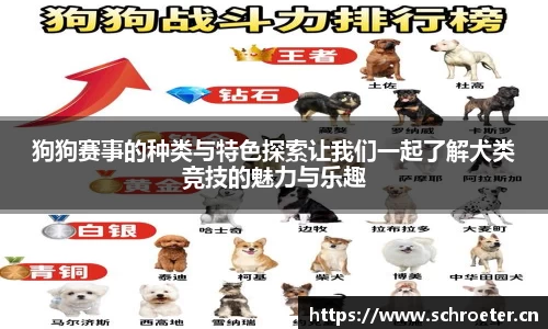 狗狗赛事的种类与特色探索让我们一起了解犬类竞技的魅力与乐趣