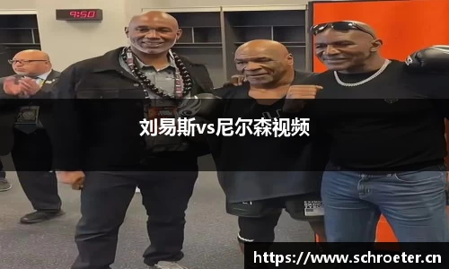 刘易斯vs尼尔森视频
