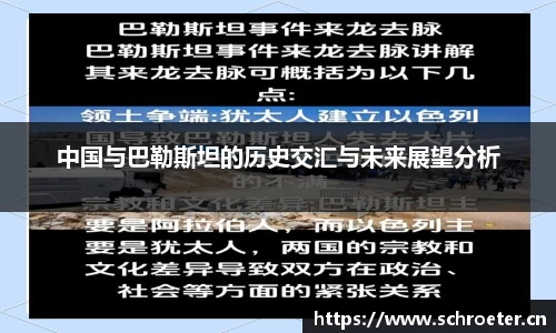 中国与巴勒斯坦的历史交汇与未来展望分析