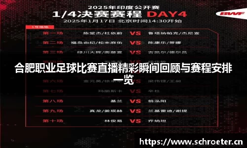 合肥职业足球比赛直播精彩瞬间回顾与赛程安排一览
