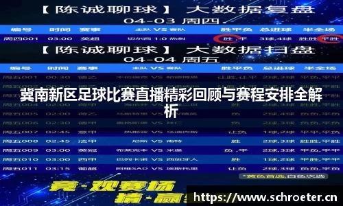冀南新区足球比赛直播精彩回顾与赛程安排全解析