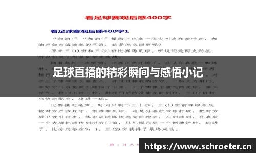 足球直播的精彩瞬间与感悟小记