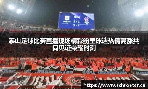 泰山足球比赛直播现场精彩纷呈球迷热情高涨共同见证荣耀时刻