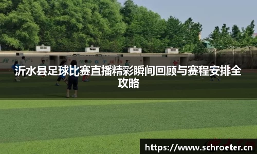 沂水县足球比赛直播精彩瞬间回顾与赛程安排全攻略