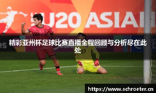 精彩亚州杯足球比赛直播全程回顾与分析尽在此处