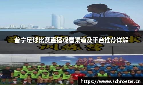 普宁足球比赛直播观看渠道及平台推荐详解