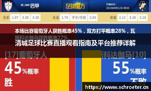 清城足球比赛直播观看指南及平台推荐详解
