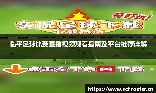 临平足球比赛直播视频观看指南及平台推荐详解